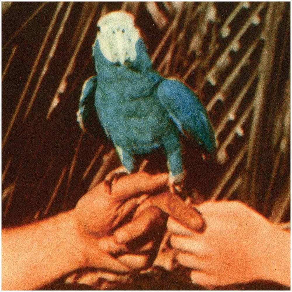 Andrew Bird - Are You Serious? - Foto 1