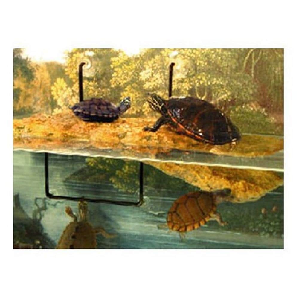 Isola Turtle Dock Small Isola Galleggiante per Tartarughiere - Foto 2