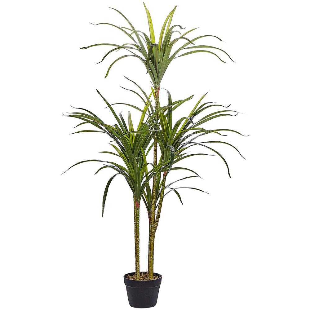 Pianta Artificiale 147 Cm Dracaena Anita - Foto 1