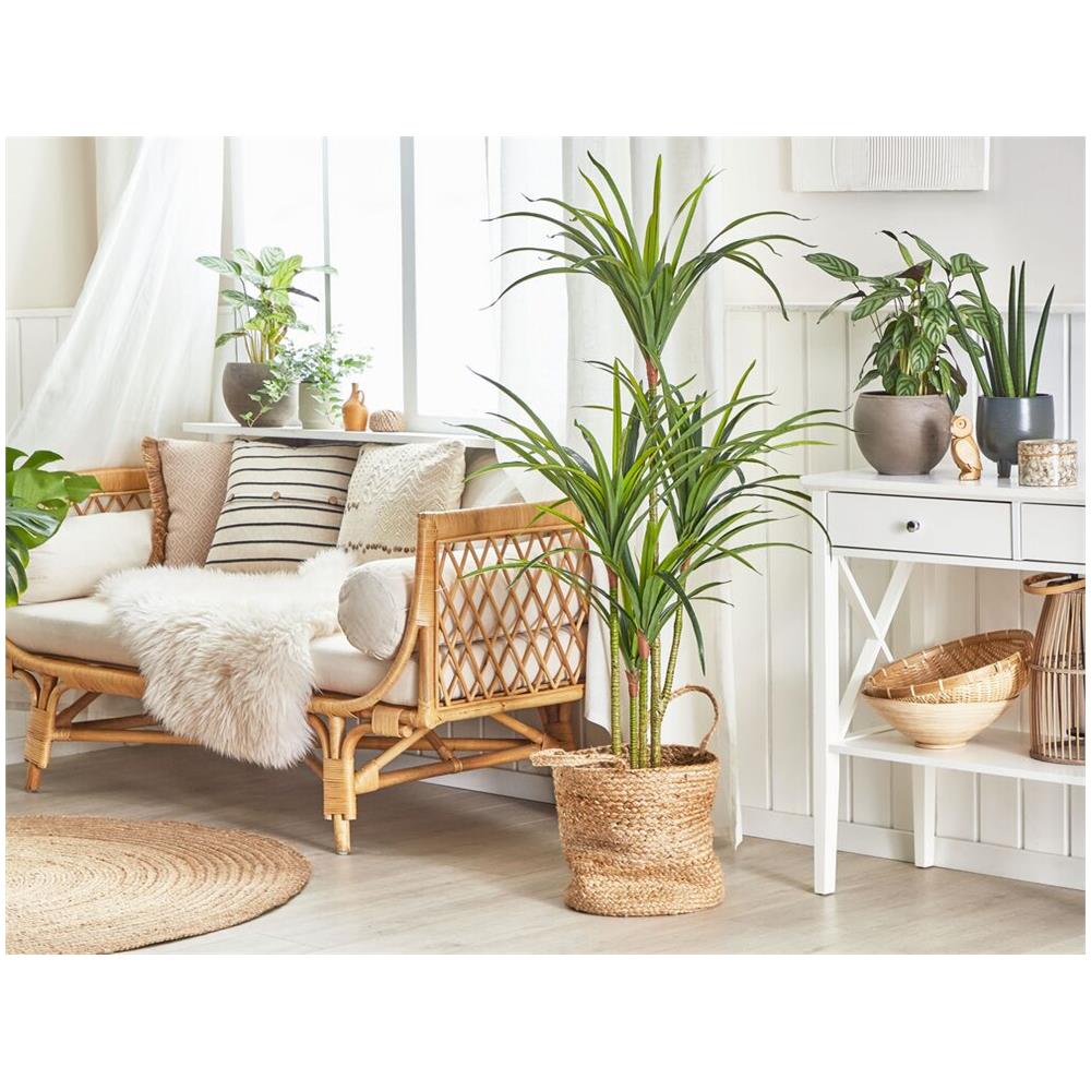 Pianta Artificiale 147 Cm Dracaena Anita - Foto 2