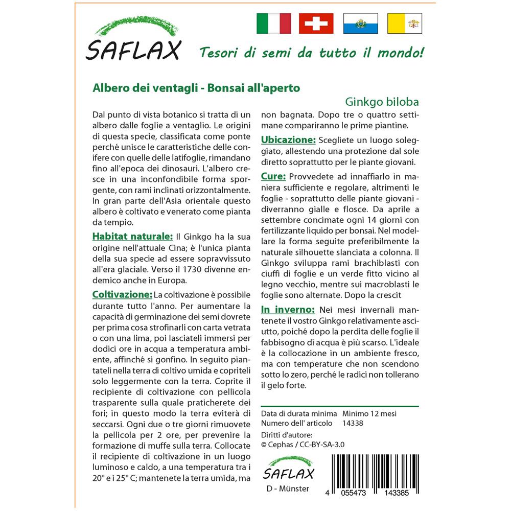 Albero dei ventagli Ginkgo biloba 4 semi SAFLAX Con substrato