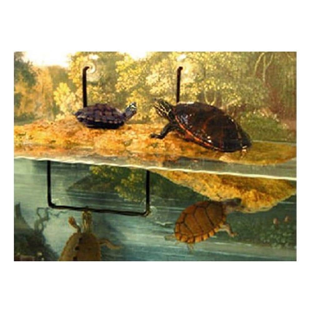 Isola Turtle Dock Medium Isola Galleggiante per Tartarughiere - Foto 4