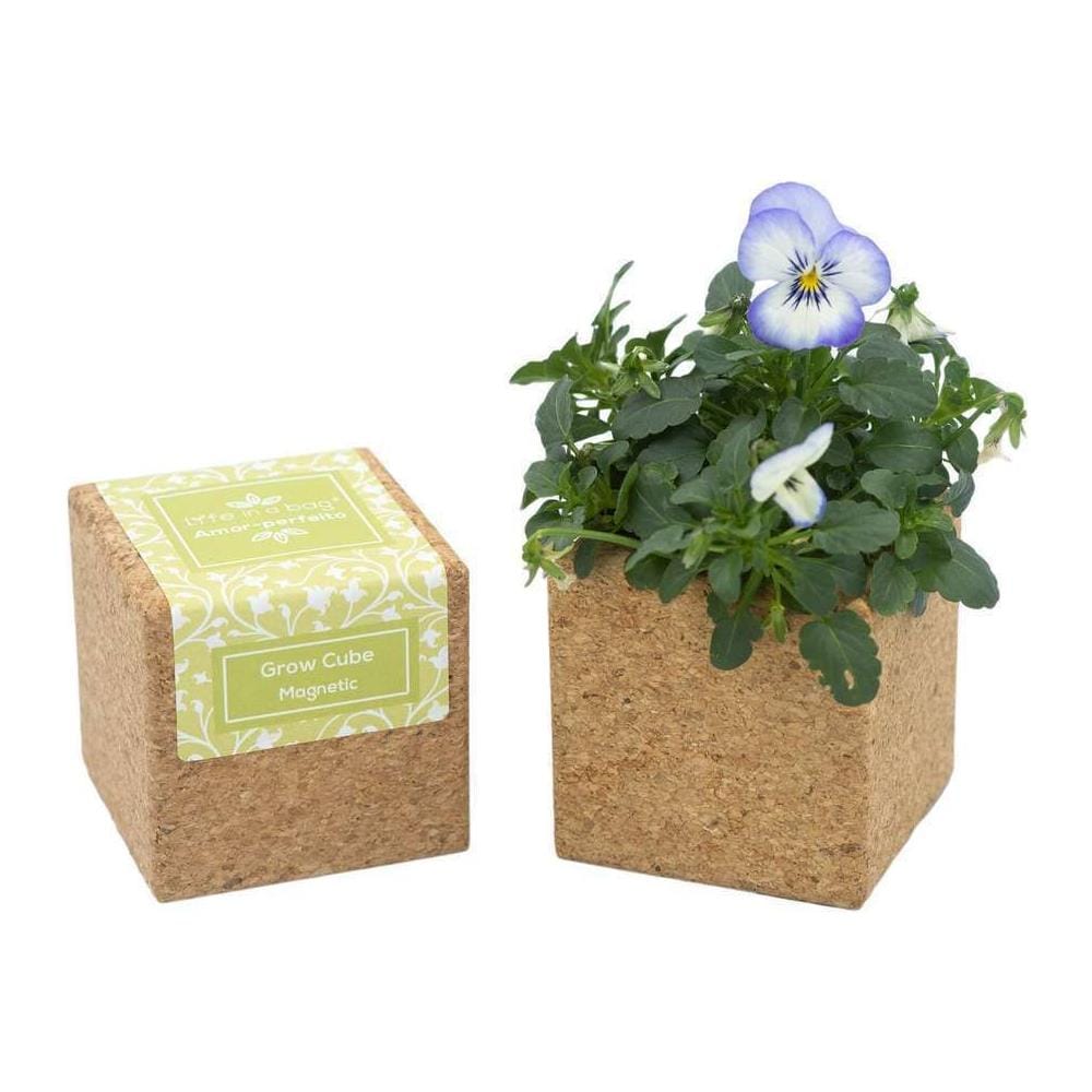 Cubo Magnetico In Sughero Con Fiore Di Viola Del Pensiero Biologico In Germinazione - Foto 1