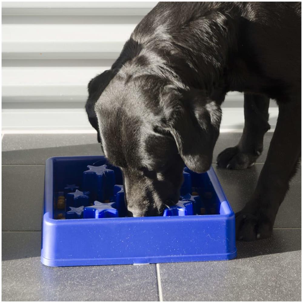 Ciotola Slow Feeder Star Blu L - Foto 2