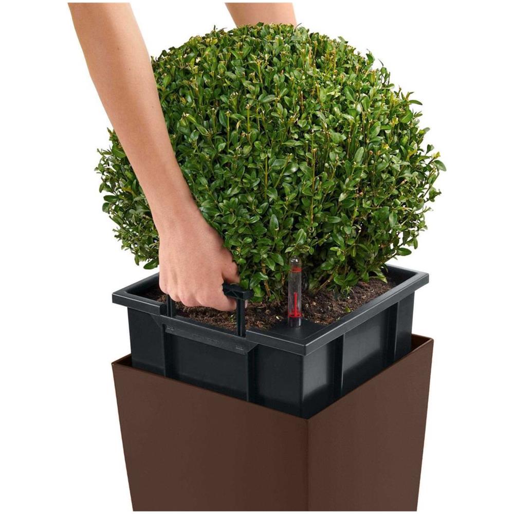 Fioriera Cubico Color 30 ALL-IN-ONE Noce Moscata 13133 - Foto 2