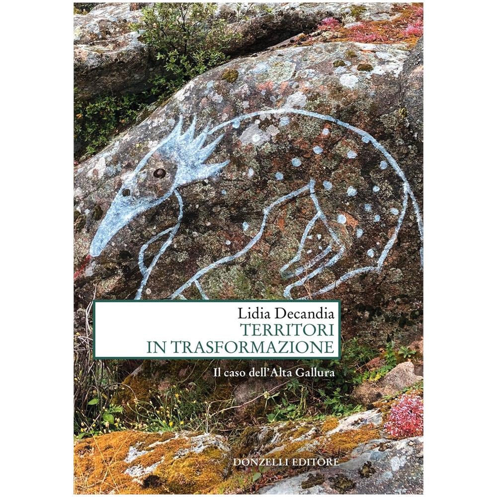 Lidia Decandia - Territori In Trasformazione - Foto 1