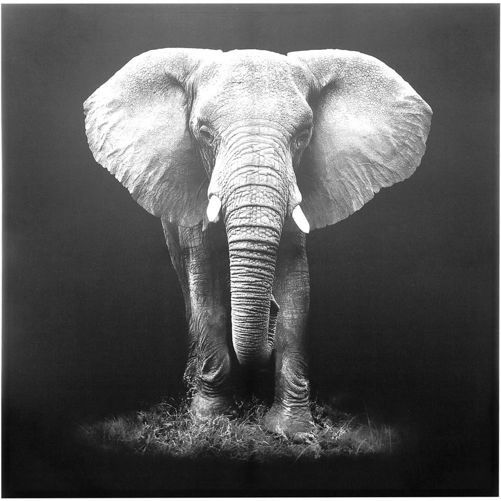 Quadro Elefante In Tela, Da 100x100 Cm Grigio - Foto 1