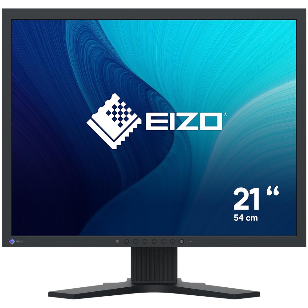 FlexScan S2134 Monitor PC 54,1 cm (21.3") 1600 x 1200 Pixel UXGA LCD Nero - Foto 1