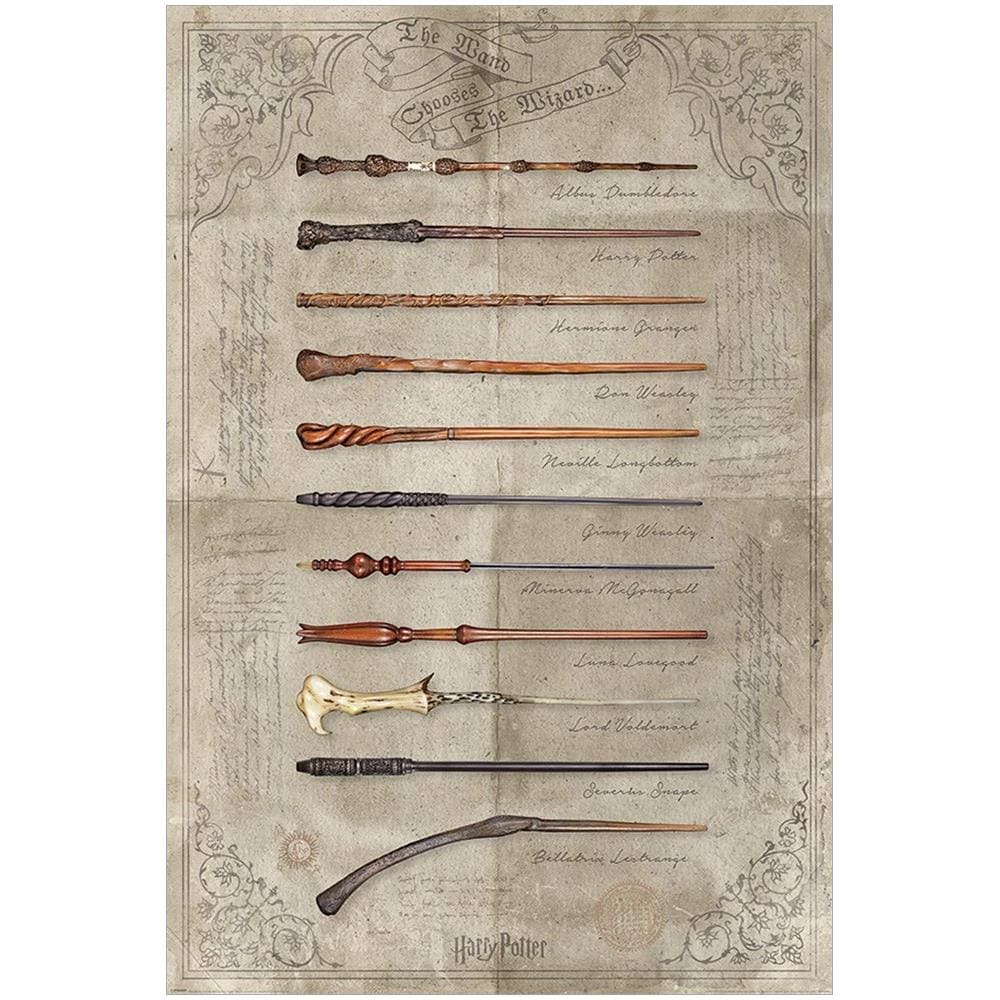 Harry Potter: (the Wand Chooses The Wizard) Maxi (poster) - Foto 1