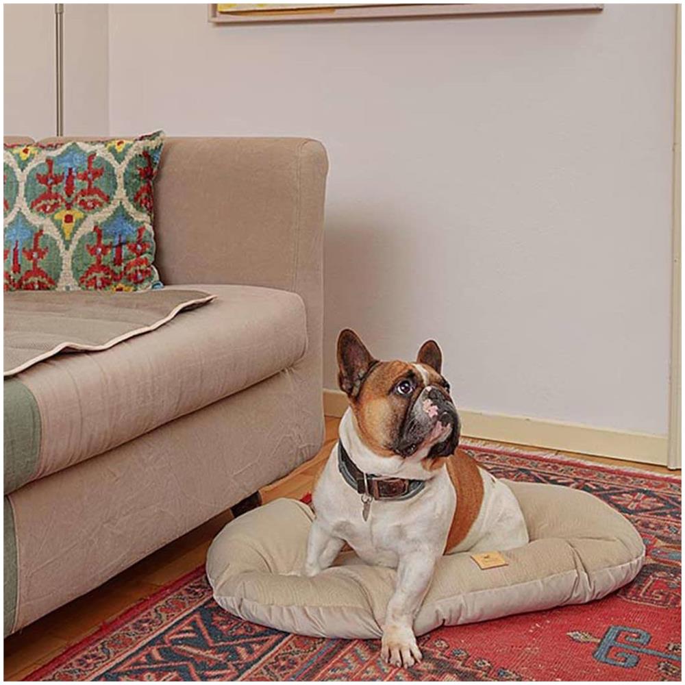 Cuscino Per Cani E Gatti Stuart 65/6 Beige - Foto 2