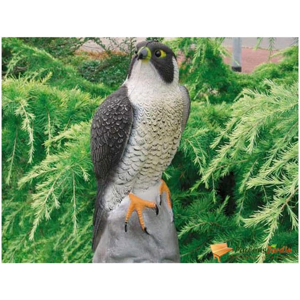 Decorazione Animale Falco 40 Cm - Foto 2