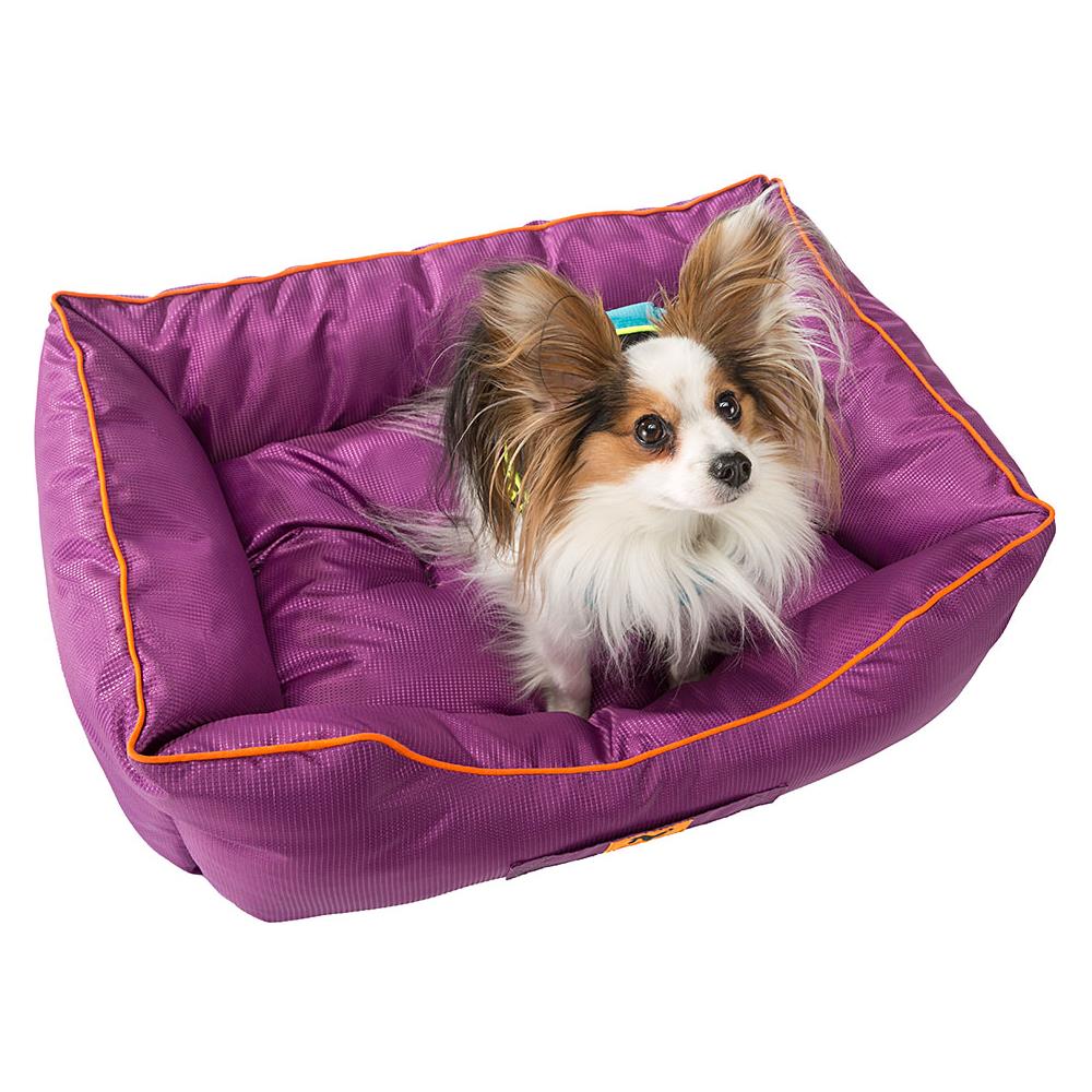 Divanetto Per Cani Jazzy 50, Cuccia Imbottita Per Animali, Resistente, Tessuto Tecnico Antigraffio, Idrorepellente, Lavabile, 55 X 45 X H 20 Cm Azzurro - Foto 2