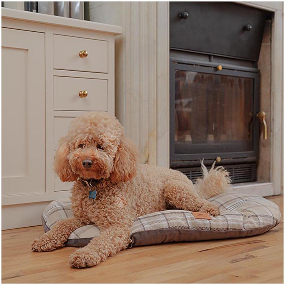 Cuscino Imbottito Per Cani E Gatti Scott 78/8, Double-face, Scozzese, Soffice Velluto, Lavabile, Blu - Foto 2