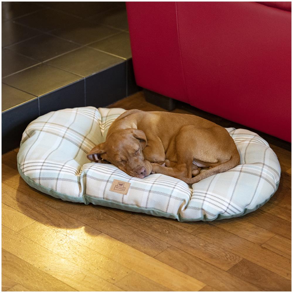 Cuscino Imbottito Per Cani E Gatti Scott 65/6, Double-face, Scozzese, Soffice Velluto, Lavabile, Blu - Foto 7