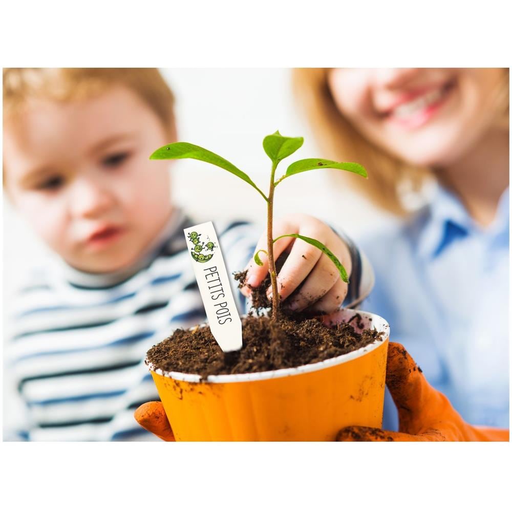 Fogli Di Plastica Pazza - Etichette Dell'orto - Foto 1