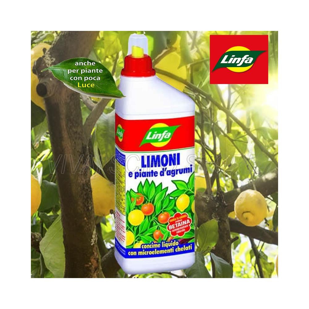 Concime Limoni E Agrumi 1 Lt. - Foto 2