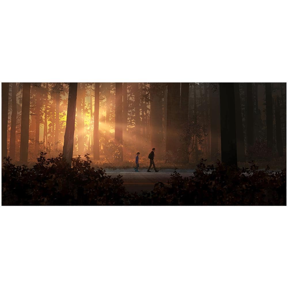 PS4 - Life is Strange 2 - Foto 2