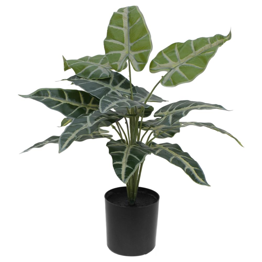 Caladium, Artificial Plant, 38cm - Foto 1