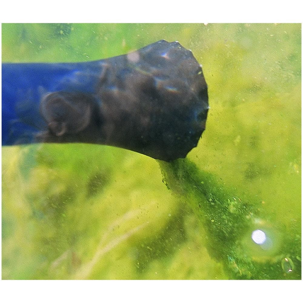 Pondovac Classic - Aspirapolvere Per Laghetto O Piscina - Foto 2