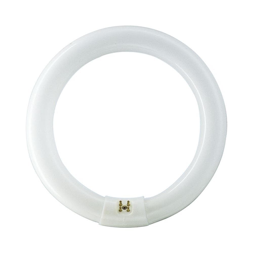 MASTER TL-E Circular, Circular, C-T9, G10Q, Bianco, B, Illuminazione fredda - Foto 1