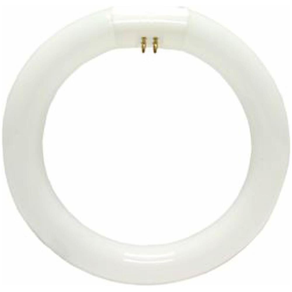 MASTER TL-E Circular, Circular, C-T9, G10Q, Bianco, B, Illuminazione fredda - Foto 2