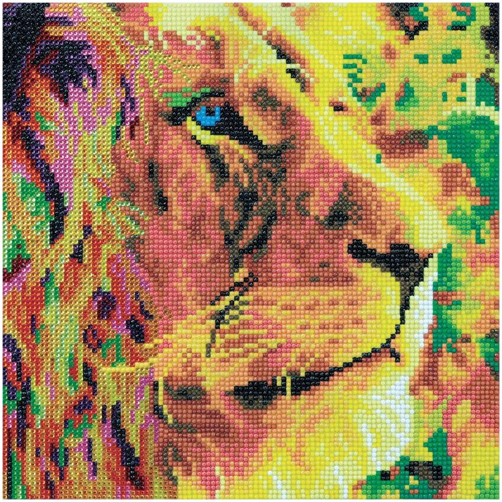 Quadro Fai Da Te Con Diamanti - Leone 30 X 30 Cm - Foto 1