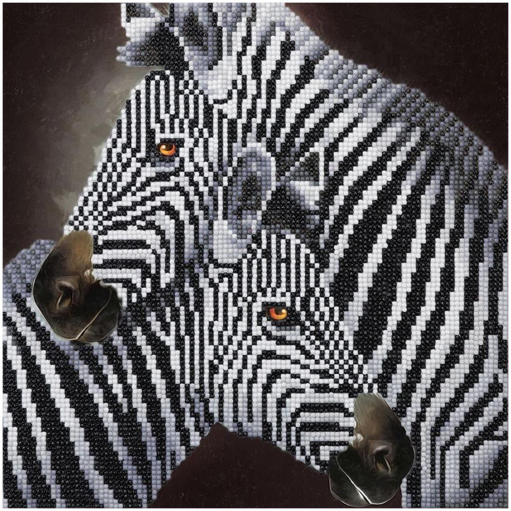 Quadro Fai Da Te Con Diamanti - Duo Di Zebre - 30 X 30 Cm - Foto 1