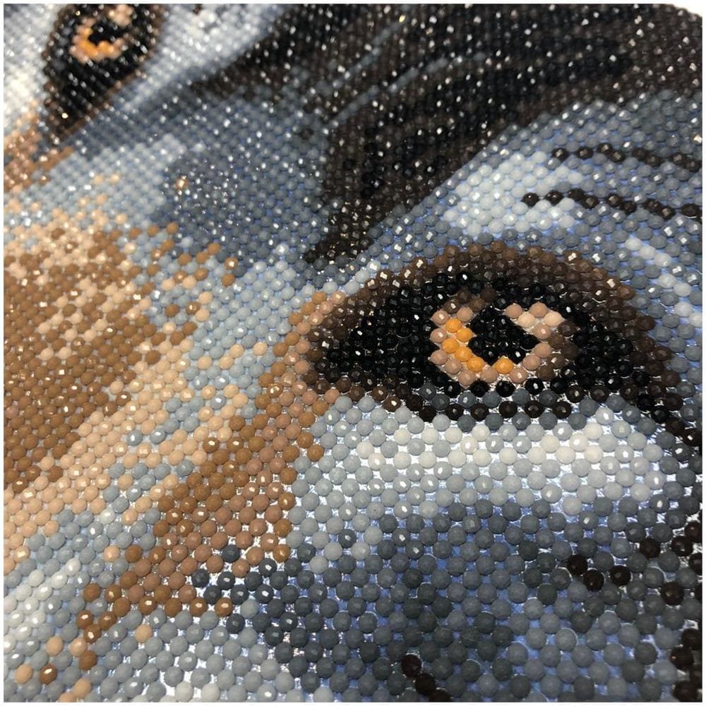 Quadro Fai Da Te Con Diamanti - Lupo - 30 X 30 Cm - Foto 1