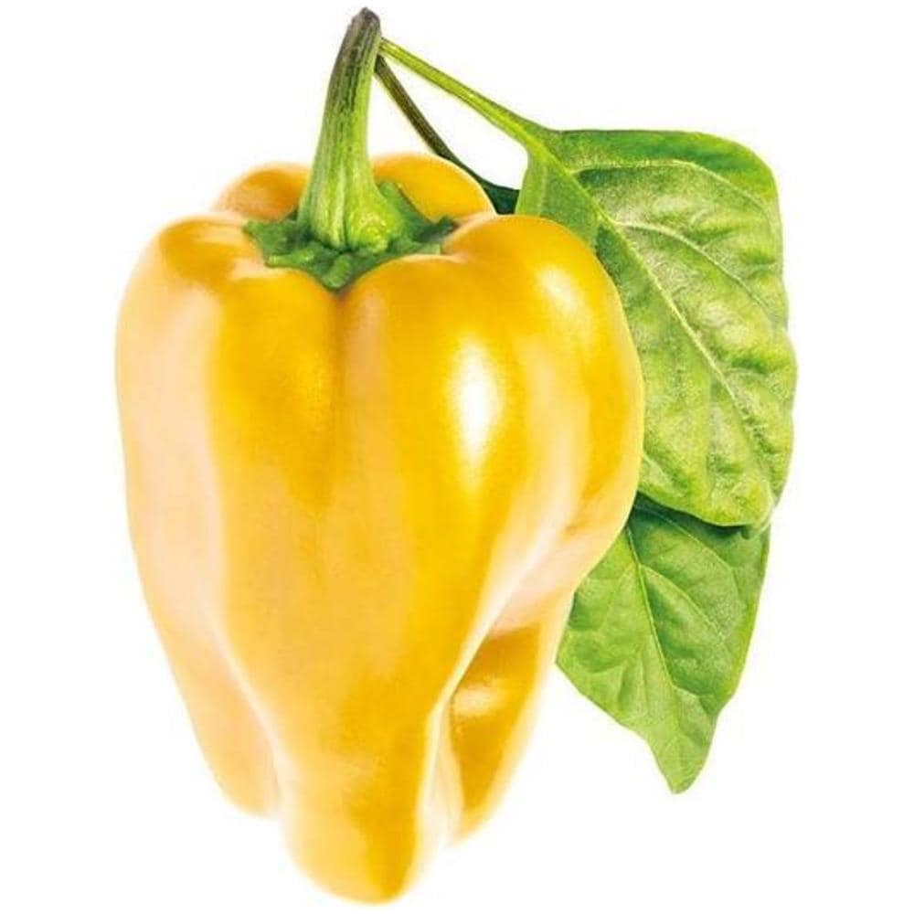 Semi Di Pepe Smart Graden Click & Grow 3 Piantine Da Giardino - Foto 2