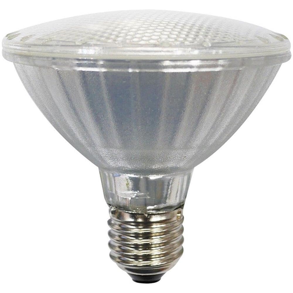 21353 Eco-par30 Led Vetro 10w 3000k E27 Tutto Vetro - Foto 1