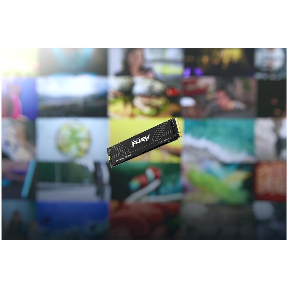 Technology 1T FURY RENEGADE G5 M. 2 2280 NVMe SSD - Foto 14
