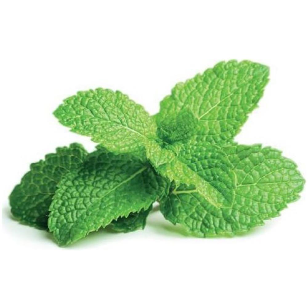 Semi Smart Garden Per Il Giardino Di Casa - Menta Piperita - Foto 2