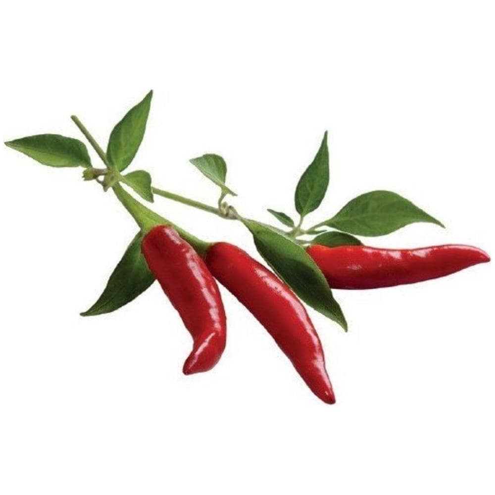 Semi Smart Garden Per Il Giardino Di Casa - Peperoncino - Foto 3