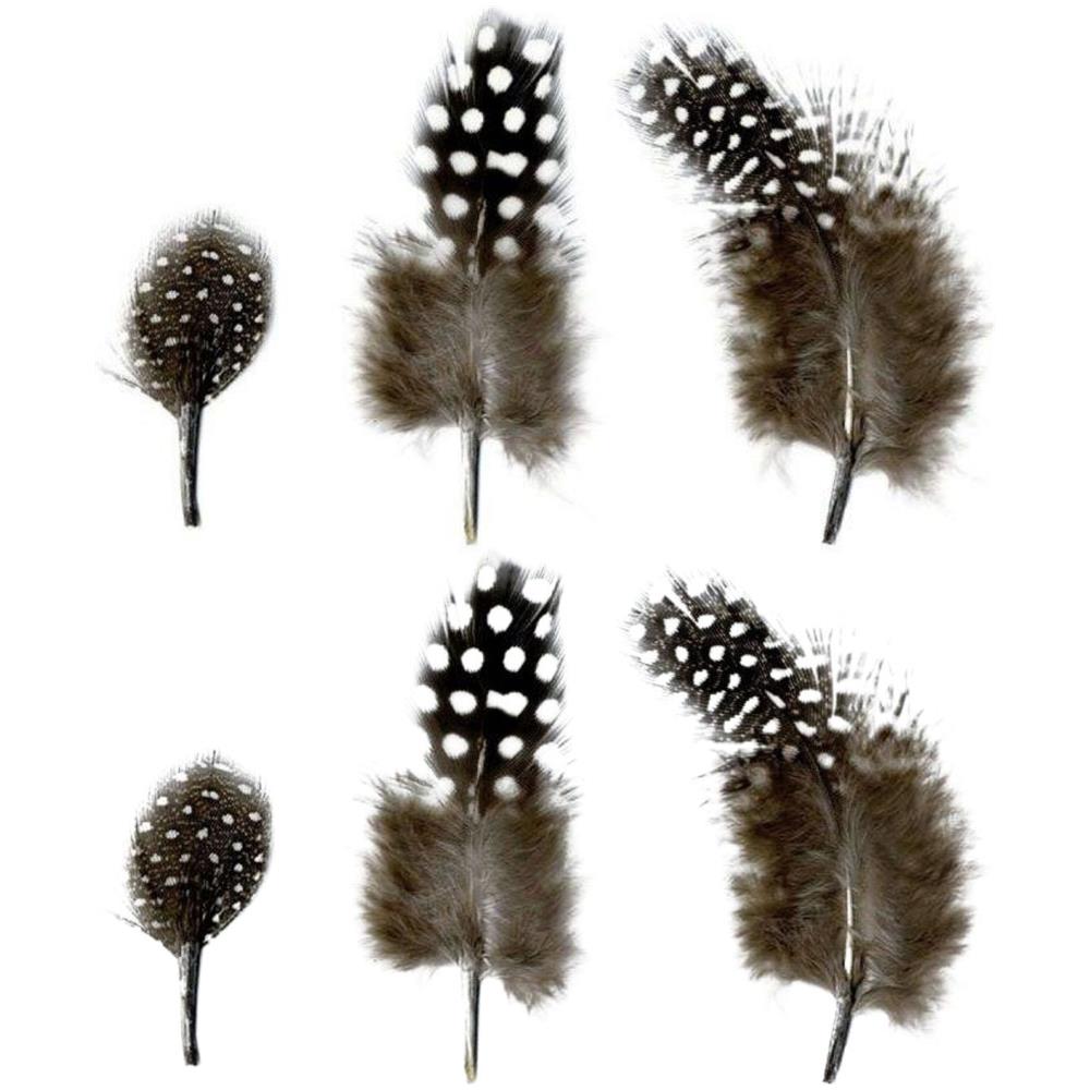 Piume Naturali Da 2 A 6 Cm - 6 G - Foto 1