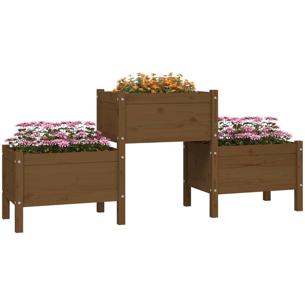 Fioriera Miele 178,5x44x75 cm in Legno Massello di Pino - Foto 2