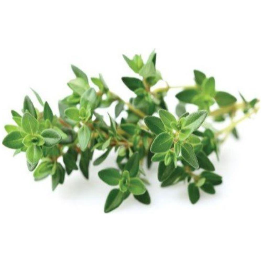 Semi Timo Smart Graden Click & Grow 3 Piantine Da Giardino - Foto 2