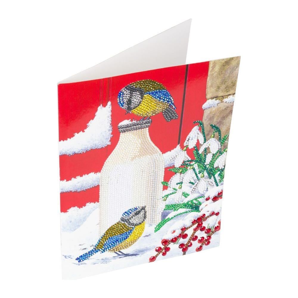 Biglietto Di Auguri Fai Da Te Con Diamanti - Uccelli Nella Neve - 8 X 10' (29 X 21 Cm) - Foto 1