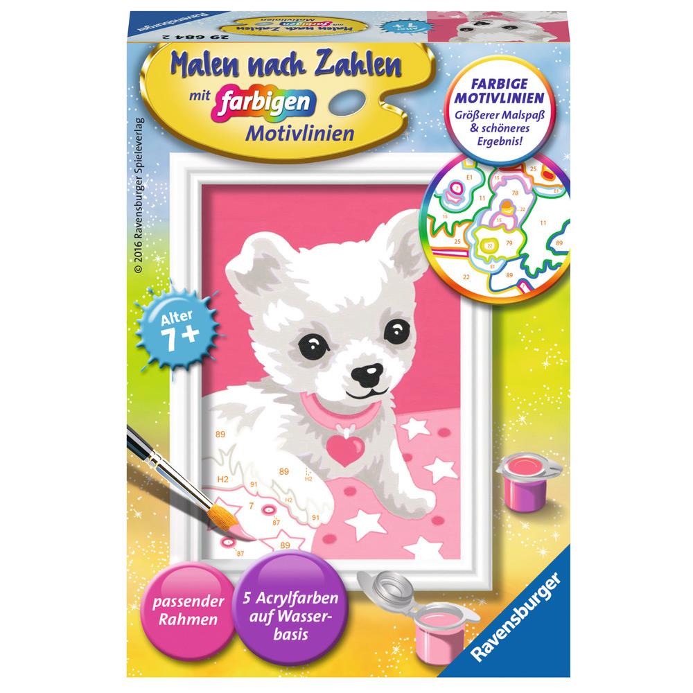 Chihuahua (29684) - Foto 1