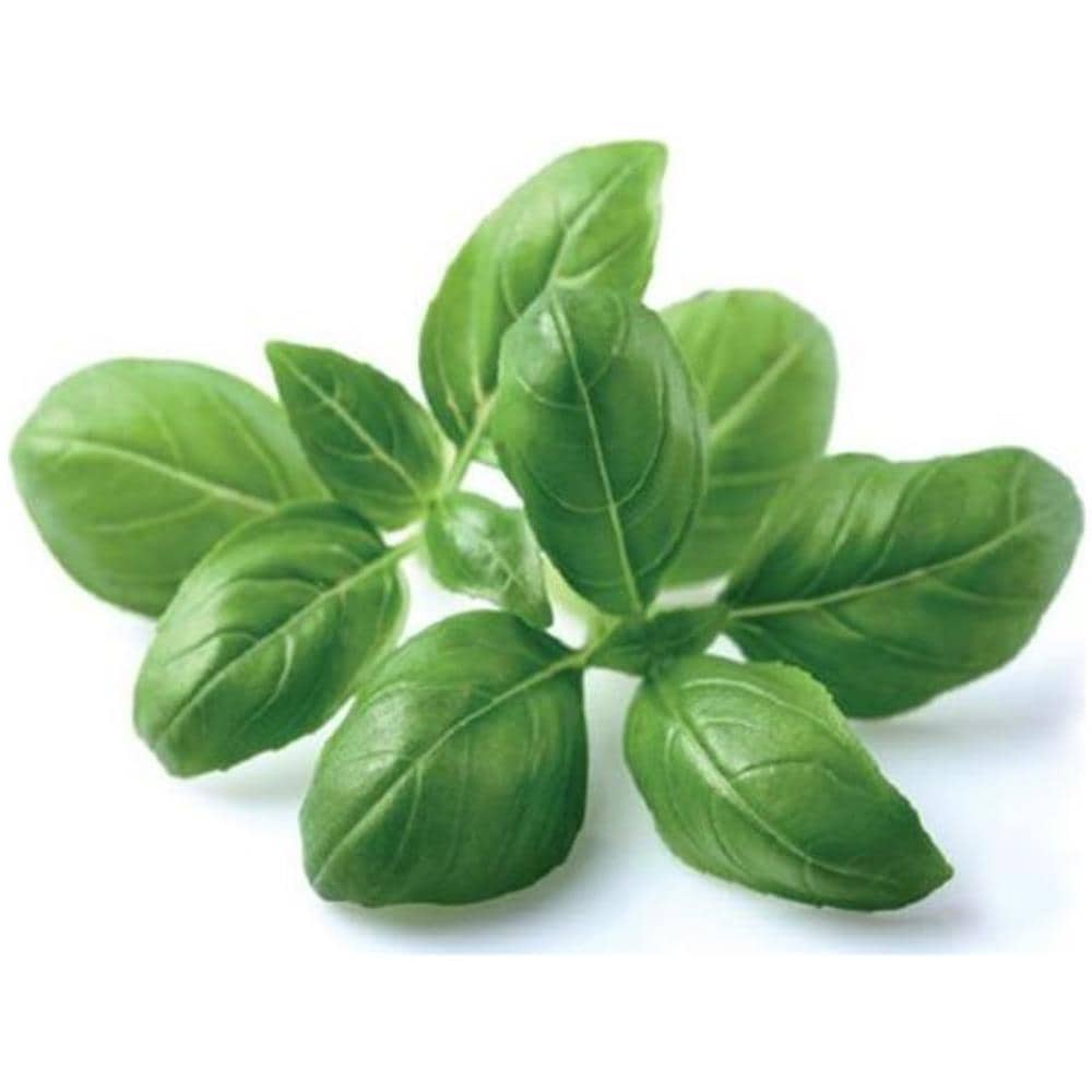 Semi Bean Basil Smart Garden Click & Grow 3 Piantine Da Giardino - Foto 2