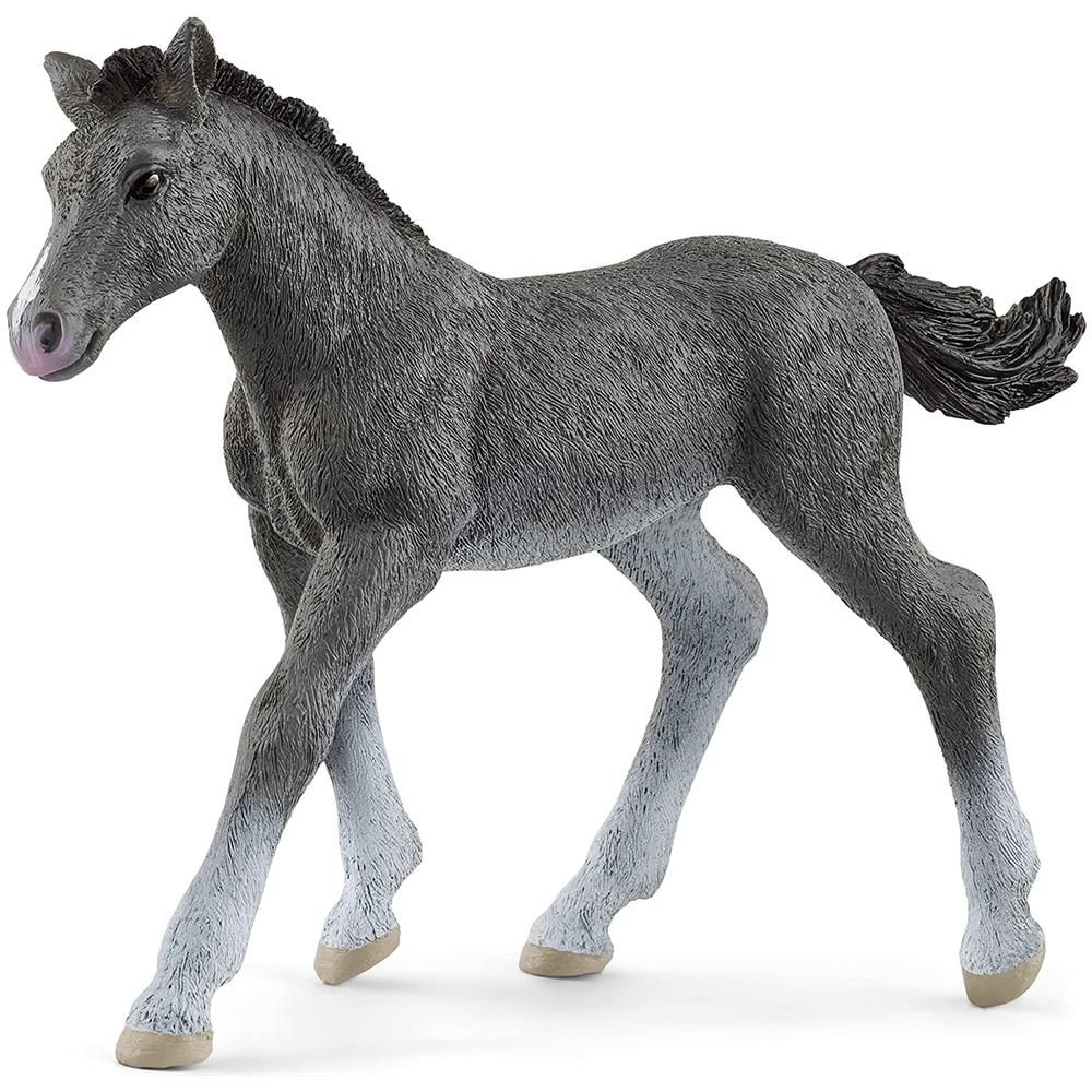 : Trakehner Foal - Foto 1