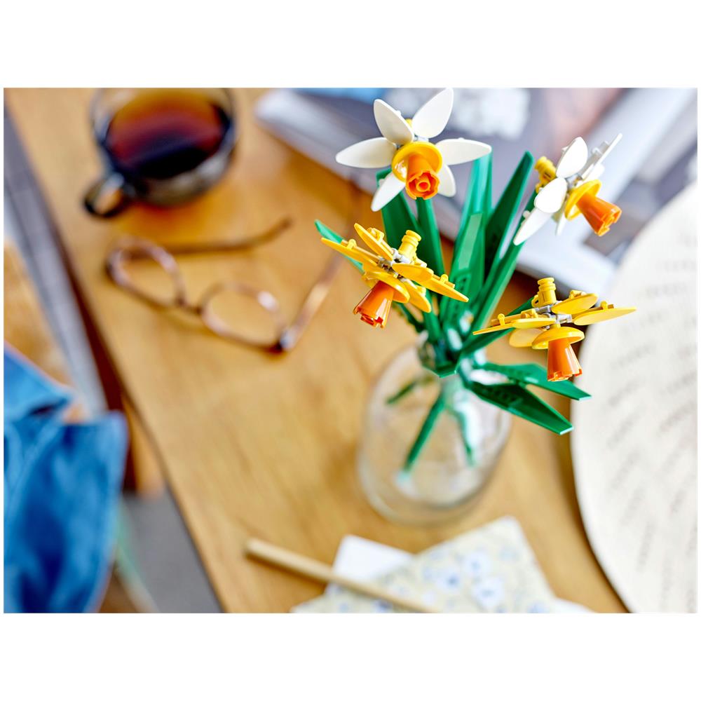 40747 Narcisi - Foto 5