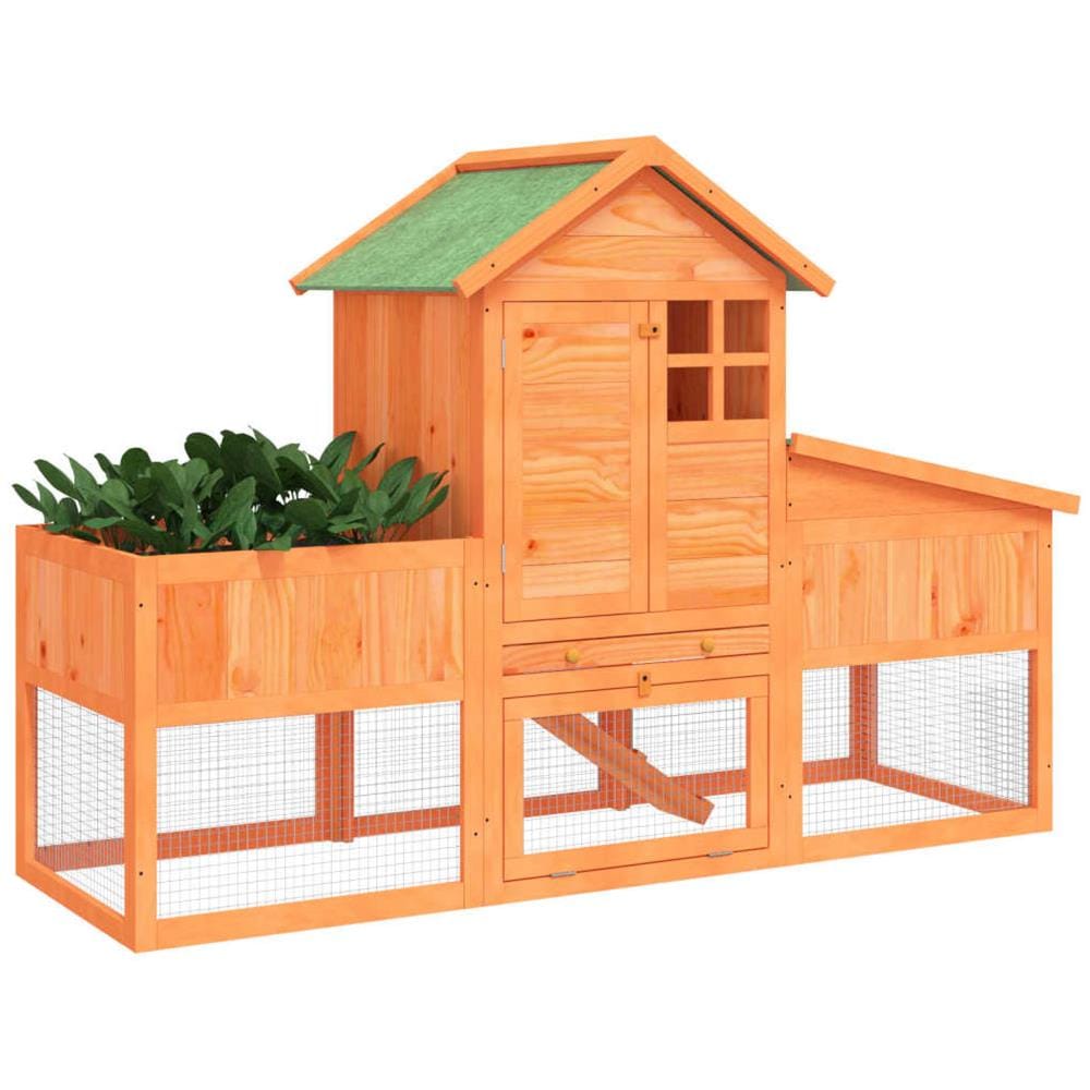 Conigliera Marrone 170x63x113 Cm In Legno Massello Di Pino - Foto 3