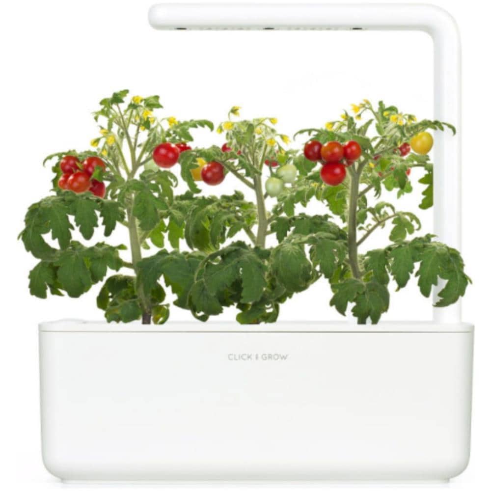 Semi Smart Garden Per Il Giardino Di Casa - Pomodorini - Foto 3