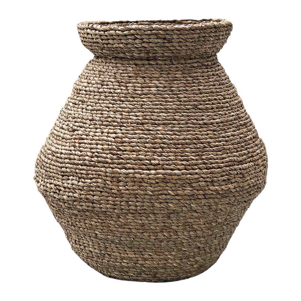 Barattolo Del Mendicante Naturale - Foto 1