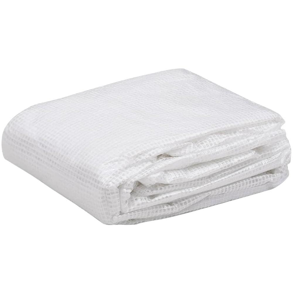 Telo di Ricambio per Serra (36 m²) 3x12x2 m Trasparente - Foto 2