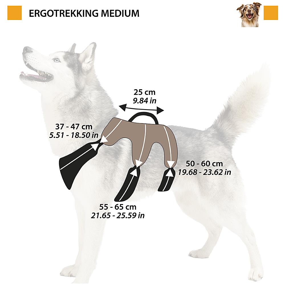 Pettorina Ergonomica Per Cani Taglia Medio-grande Ergotrekking P Medium, Sei Chiusure Con Microregolazione, Morbida Imbottitura, Riflettente, Ideale Per Escursioni, Nero - Foto 2
