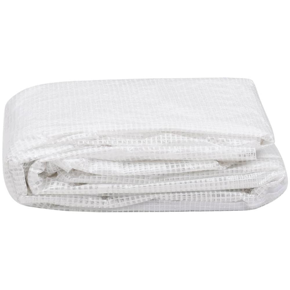 Telo di Ricambio per Serra (4,5 m²) 3x1,5x2 m Trasparente - Foto 2