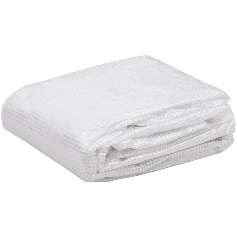 Telo di Ricambio per Serra (4,5 m²) 3x1,5x2 m Trasparente - Foto 4