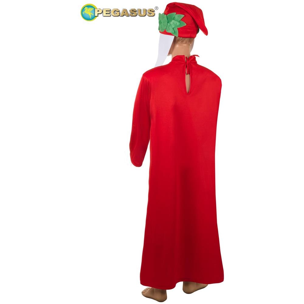 Costume Per Recite Dante Bambino 13/14 Anni Made In Italy - Foto 2