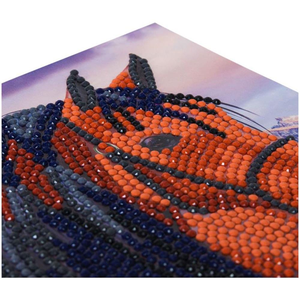 Biglietto Di Auguri Fai Da Te Con Diamanti - Cavallo - 6 X 7' (18 X 18 Cm) - Foto 2